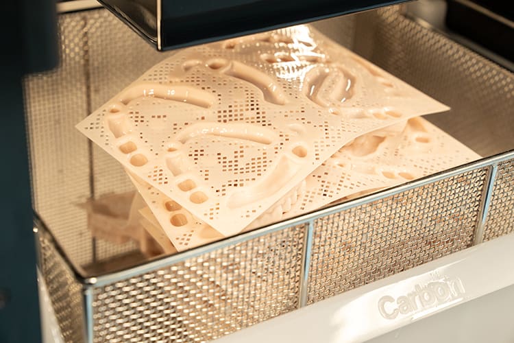 Backpack grid parts in a basket