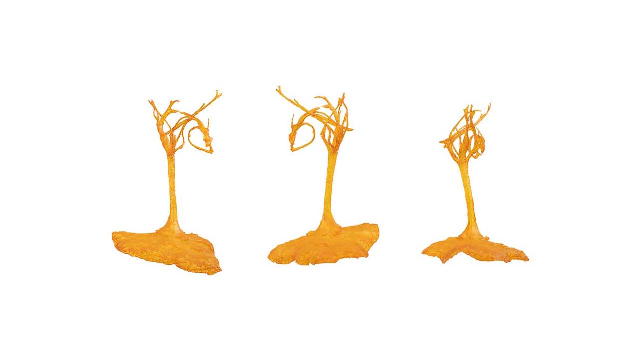 DI Labs Transforms Organic to Digital Using CT Scanning and Carbon DLS