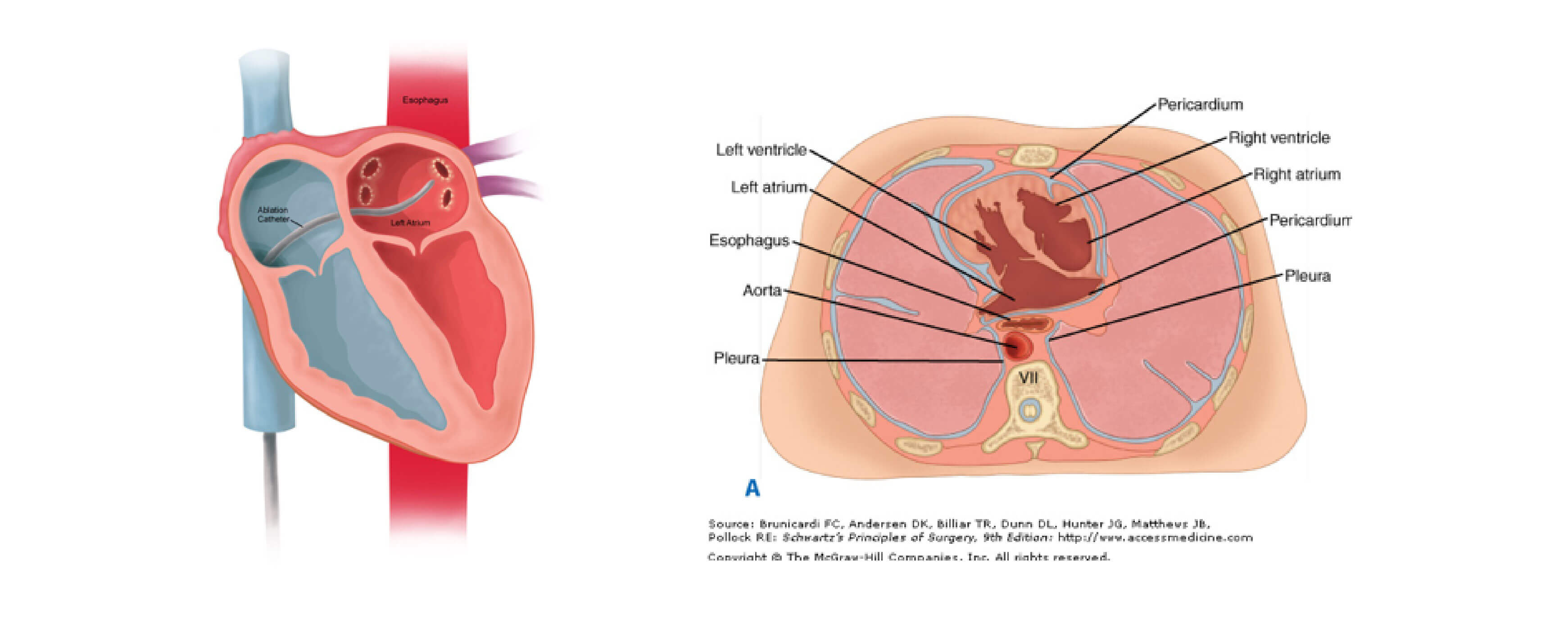 S4 Medical Figure 1