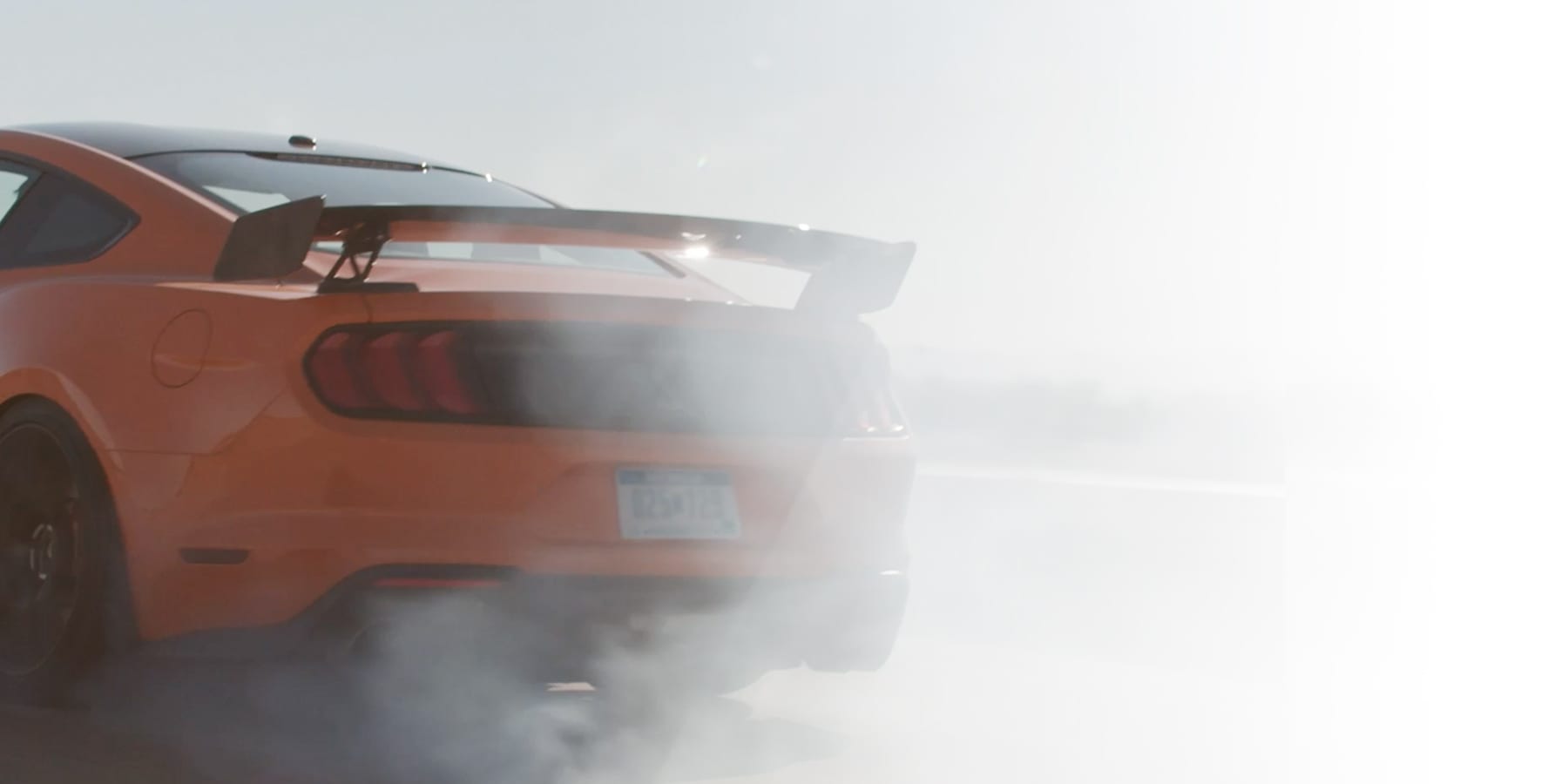 Ellen Lee Hero Banner 03.jpg