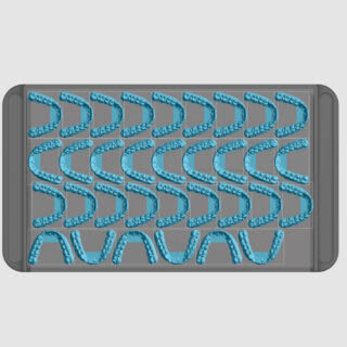 Dental tray with rows of denture models