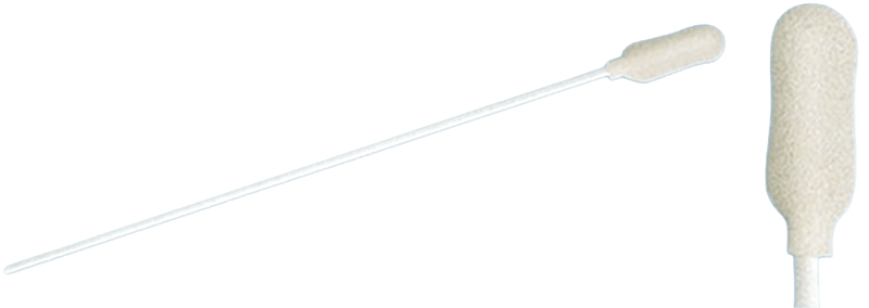 Foam swab, paddle tip Foam swab, paddle tip