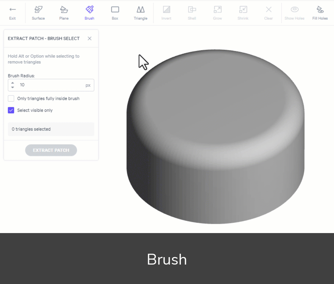 Brush