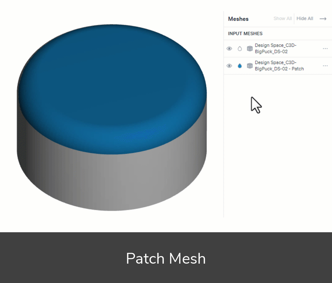 Patch Mesh
