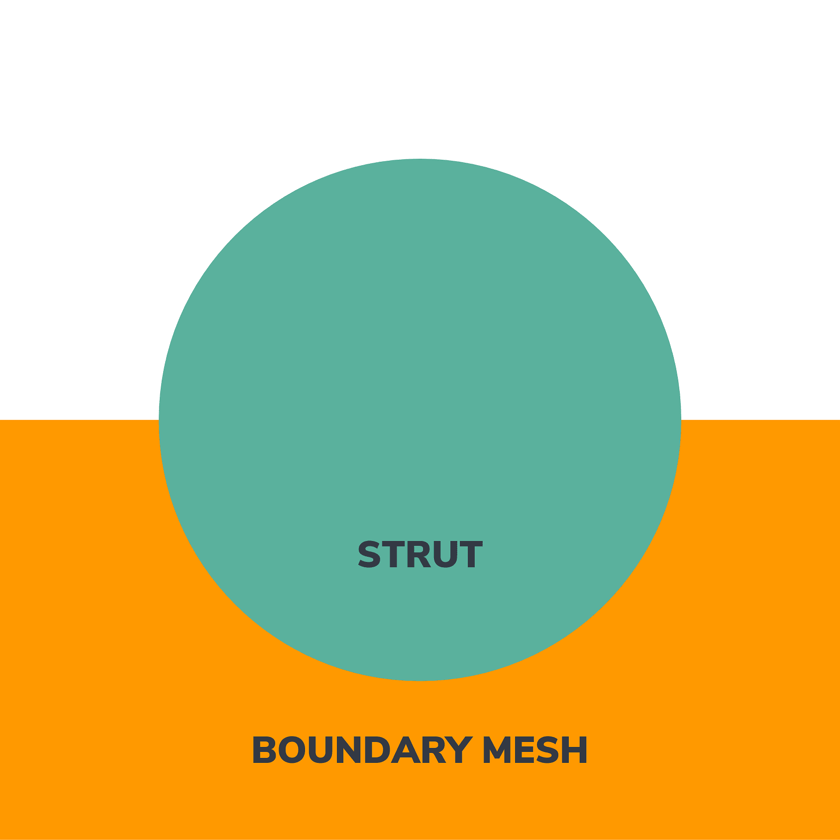 Half of strut falls outside of boundary mesh surface, half within