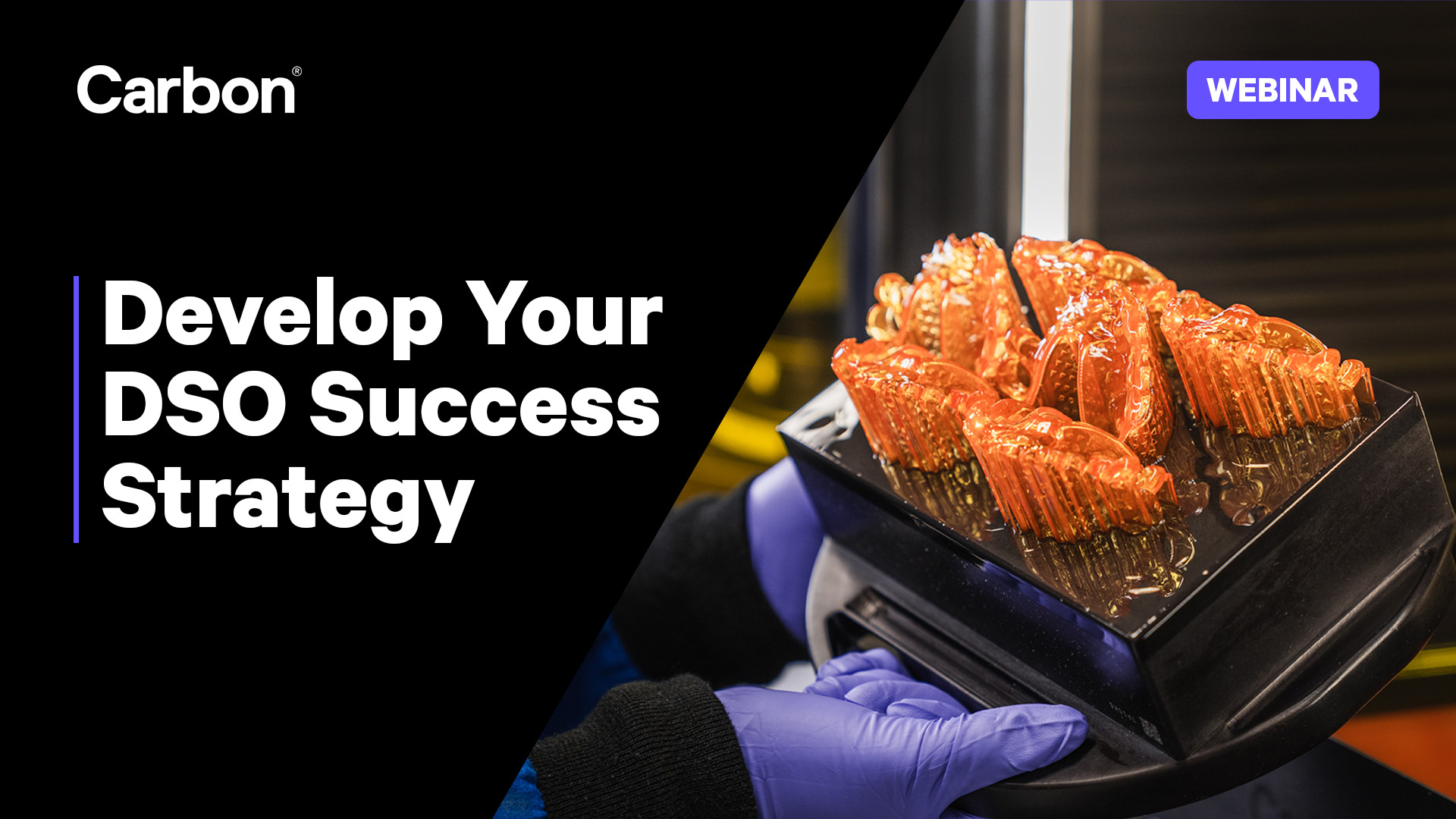 Develop Your DSO Success Strategy