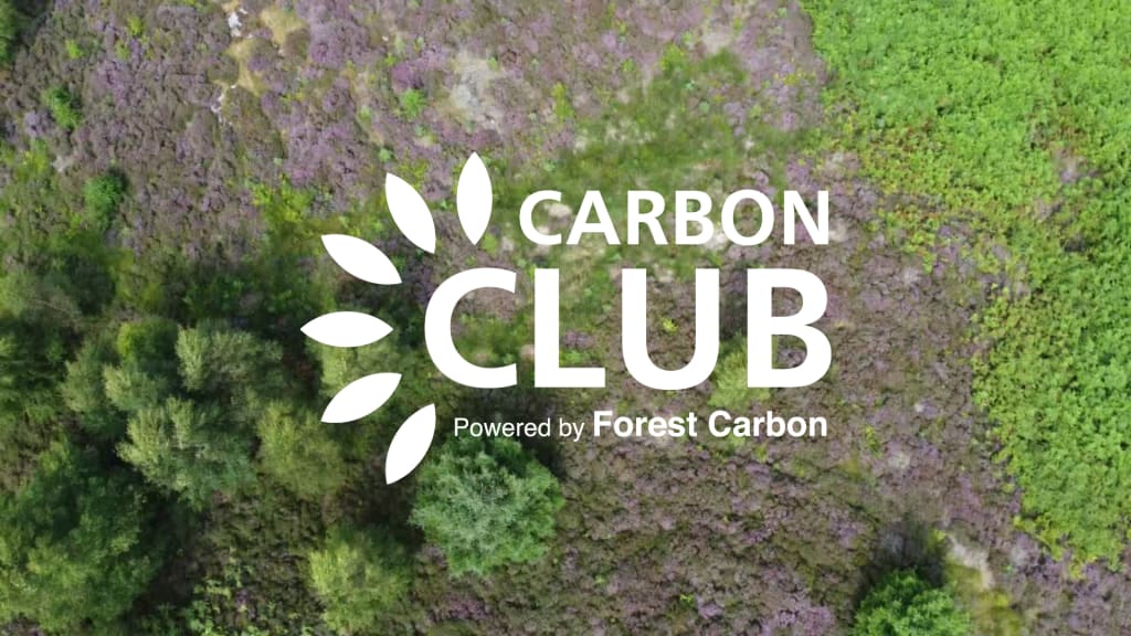 Forest Carbon - Restoring UK nature since 2006