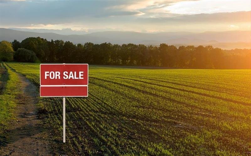 Land Purchase