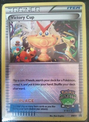 Victory Cup BWP BW31