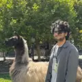 Pranav Nutalapati’s Avatar