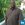 Roosevelt Durham’s Avatar