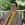 Michael Dunmire’s Avatar