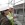 Patricia King, PMP’s Avatar