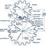 Joseph Thibeau’s Avatar