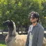 Pranav Nutalapati’s Avatar