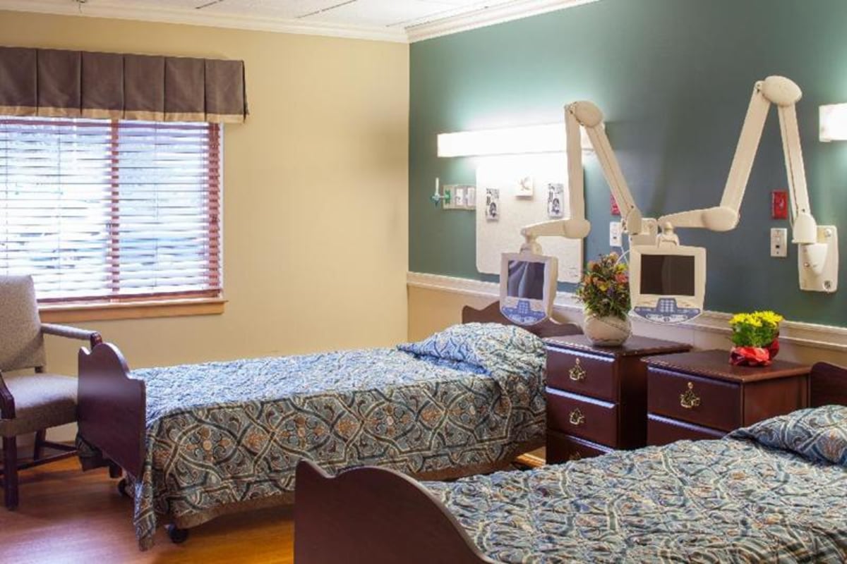 Carelike Provider Search