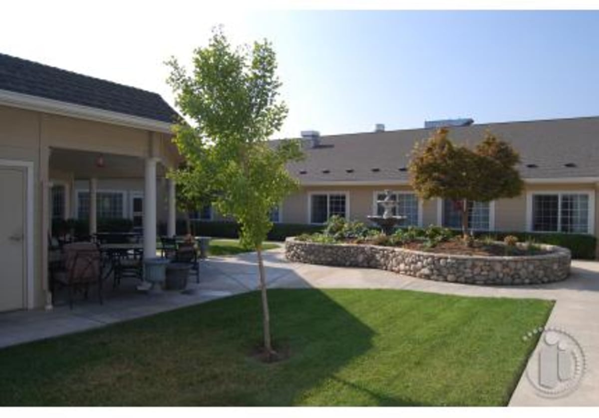 Carelike Provider Search