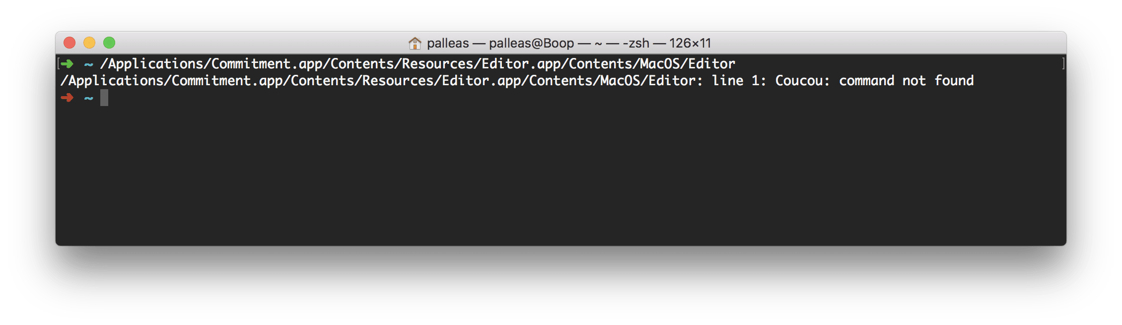The content of my binary has been replaced with the word coucou