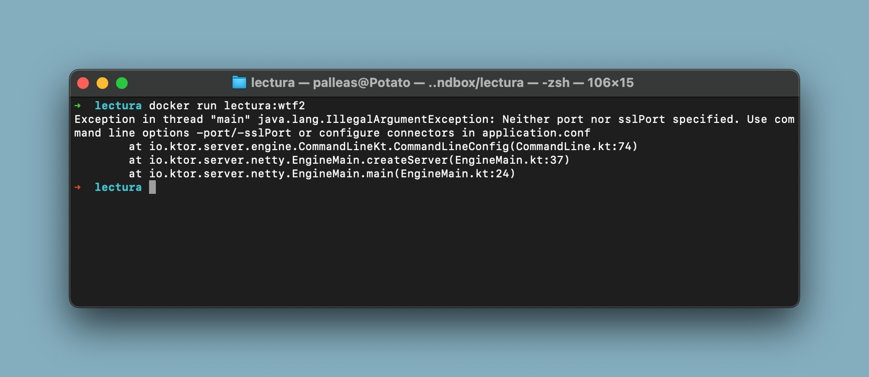 Running the docker image locally shows the same error. Please enjoy the tag. 
