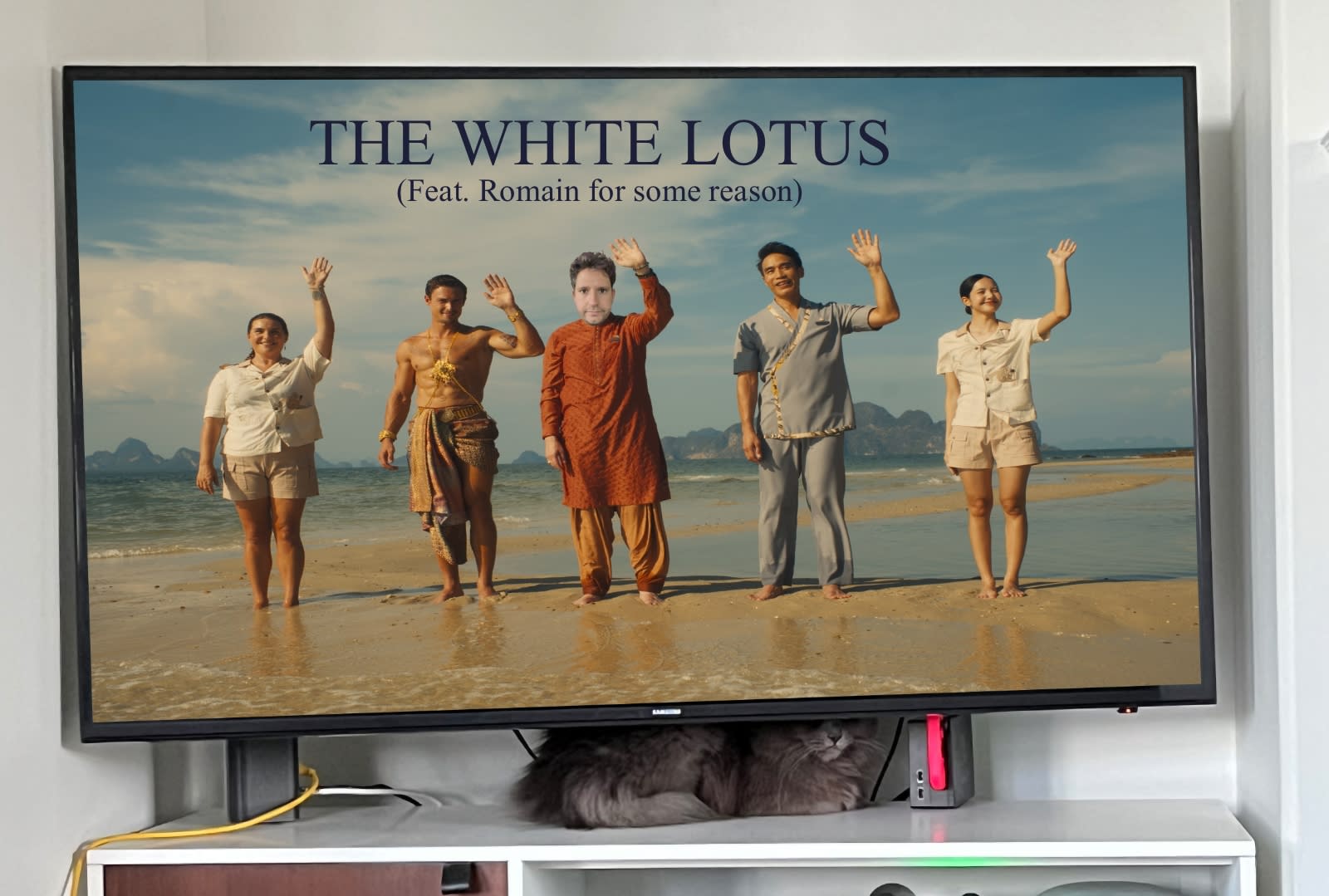 The White Lotus featuring Hermione the cat 