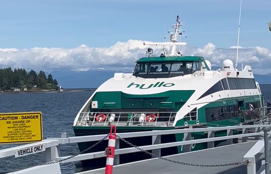 A green and white Hullo ferry