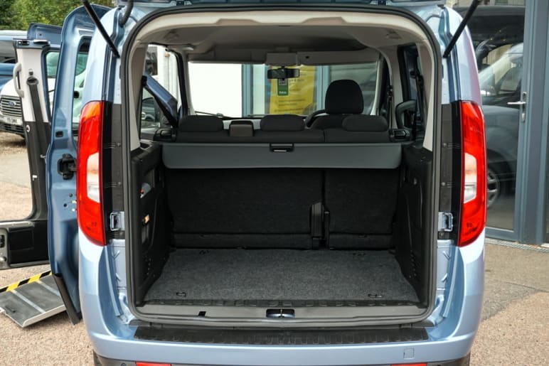 EASY, Disabled, Wheelchair Accessible Vehicle, WAV.