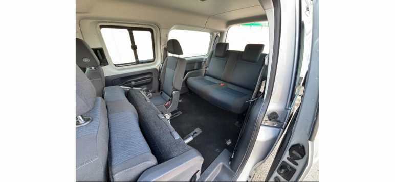 Maxi Life 2.0 TDI DSG