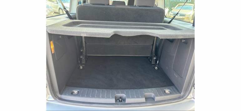 Maxi Life 2.0 TDI DSG