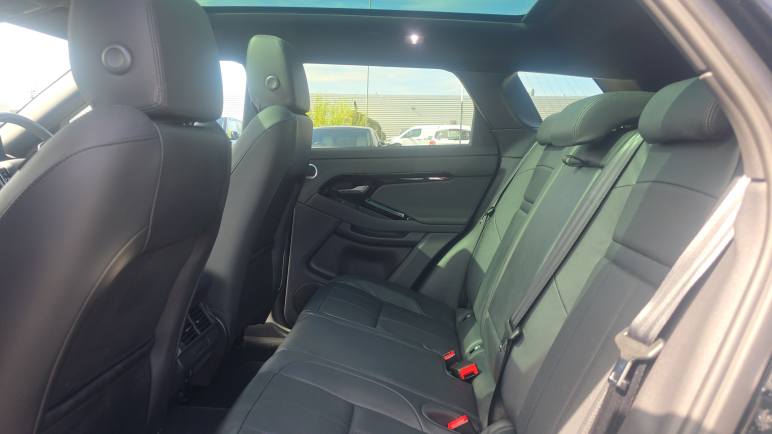 Hatchback Special Editions Edition