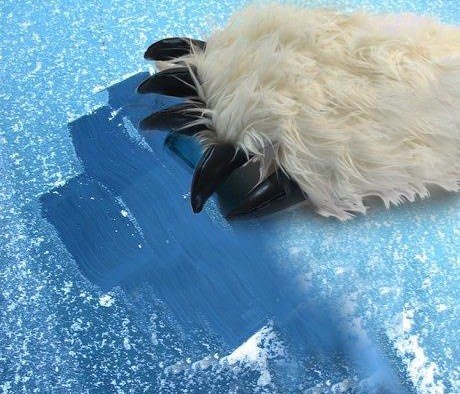 Yeti glove ice scraper