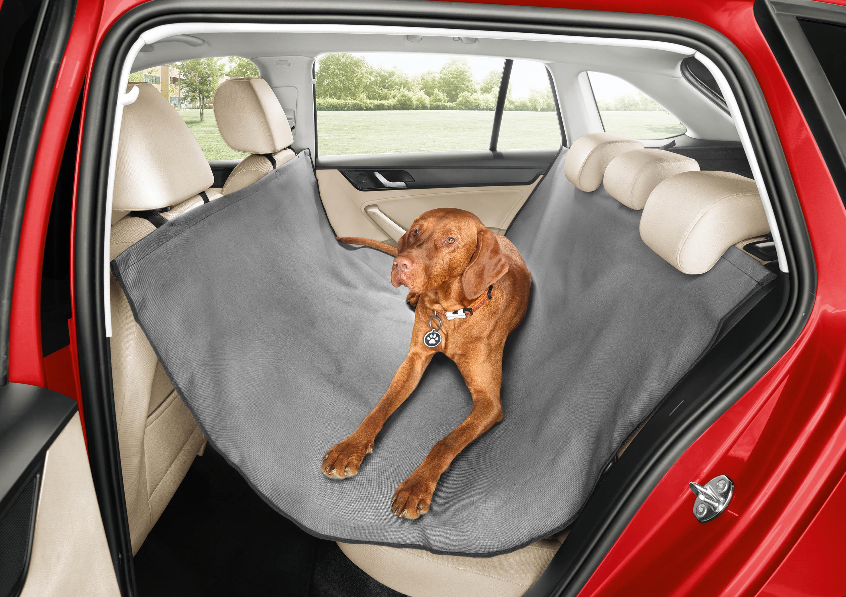 image of a dog in a hammock on back seat of car