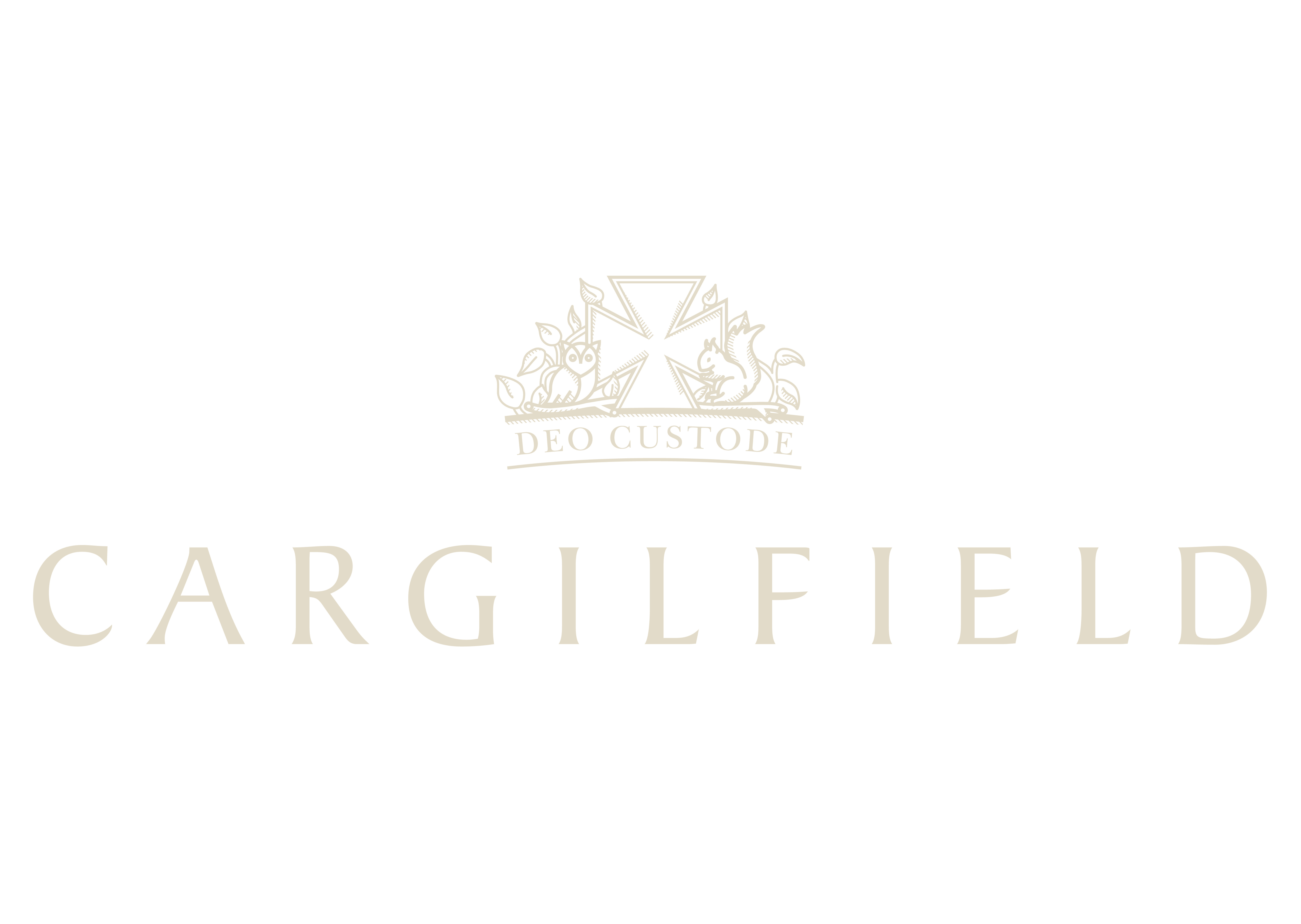 Mr David Walker | BA (Hons)