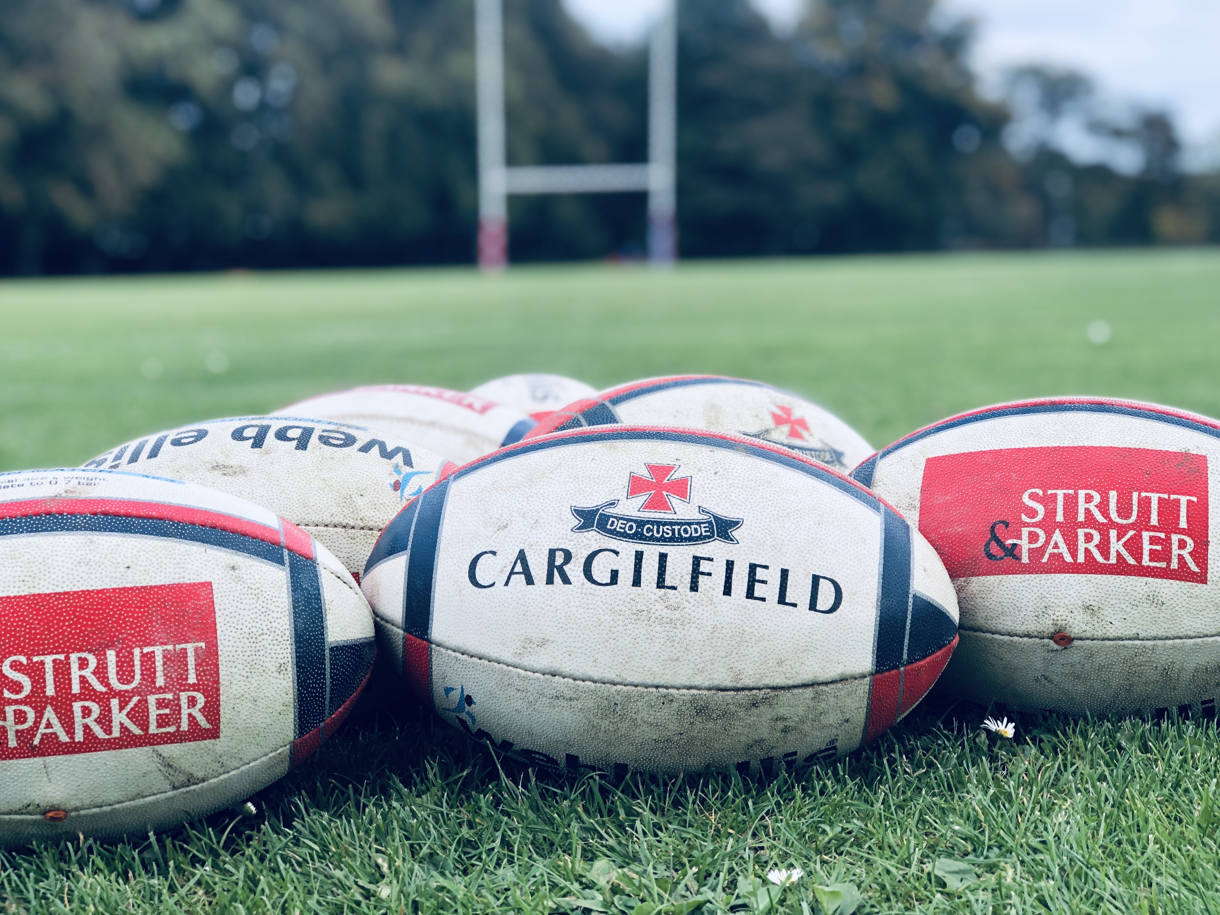 Saltires Rugby Cargilfield Prep School | Cargilfield Upper Independent School ...