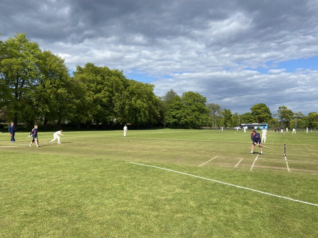 Cricket