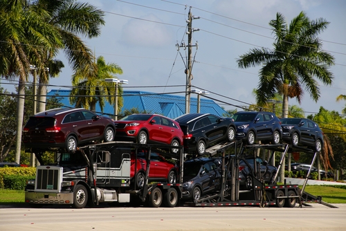 Car carrier with trees