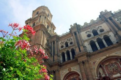 Malaga Cathedral