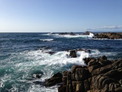 Monterey Ocean