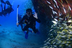 scuba diving