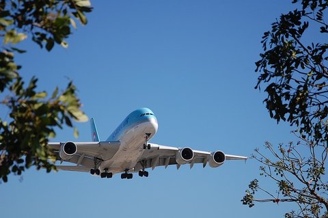 Aeroplane and sky airplane through trees