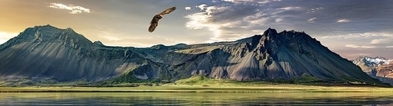 Hiring in New Zealand Hiring in New Zealand