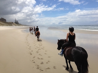 horse riding horse riding