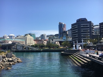 wellington harbour wellington