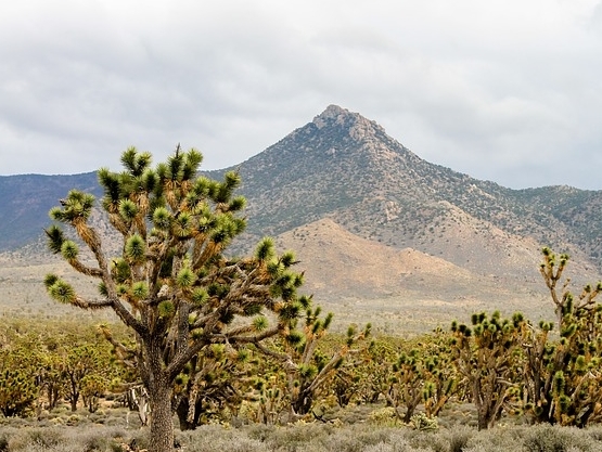 Phoenix Sky Harbor International Airport