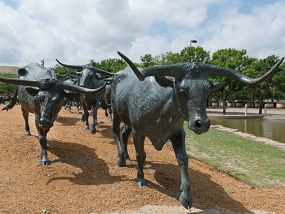 Dallas Love FIeld Airport