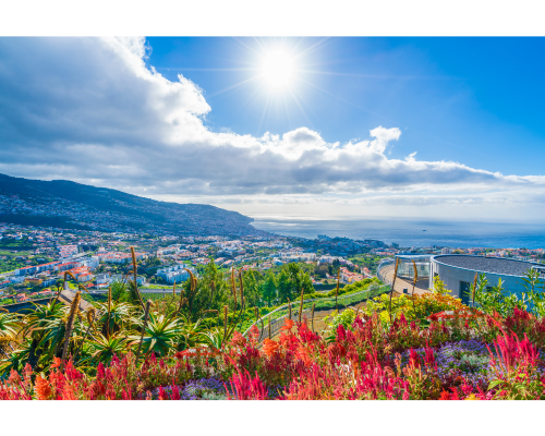 madeira view