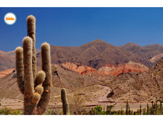 Martin Miguel de Güemes International Airport