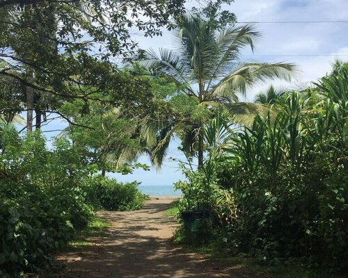costa rica beach path costa-rica-beach-path