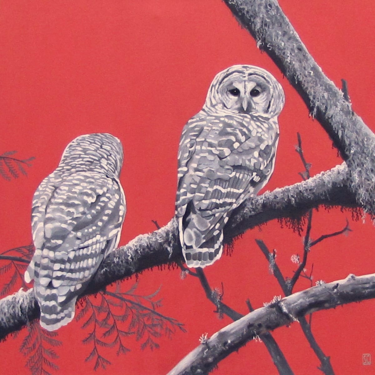 Patience II, 36 x 36 in, Oil on Canvas