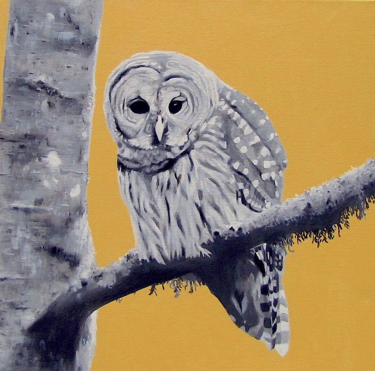 Patience, 24 x 24 in, Oil on Canvas
