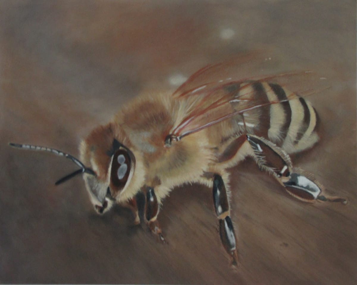 Bee on Wood